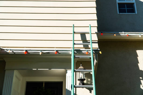Best Stone Veneer Siding  in Dix Hills, NY