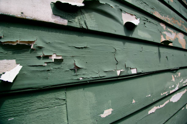 Best Fiber Cement Siding Installation  in Dix Hills, NY