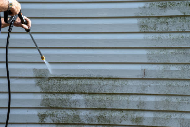 Best Brick Veneer Siding  in Dix Hills, NY