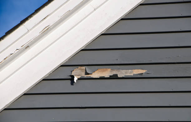 Best Storm Damage Siding Repair  in Dix Hills, NY
